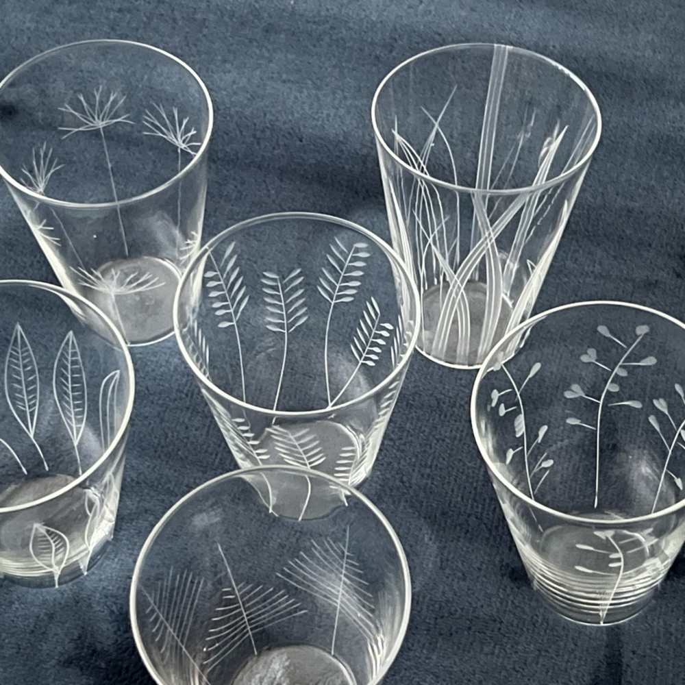 Roost Etched Botanical Glasses ~ Set of Six (6) ~ New! Perfect Condition